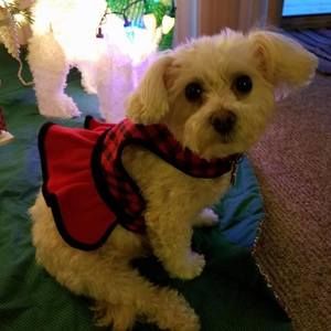 Meet your Posher, Marilyn